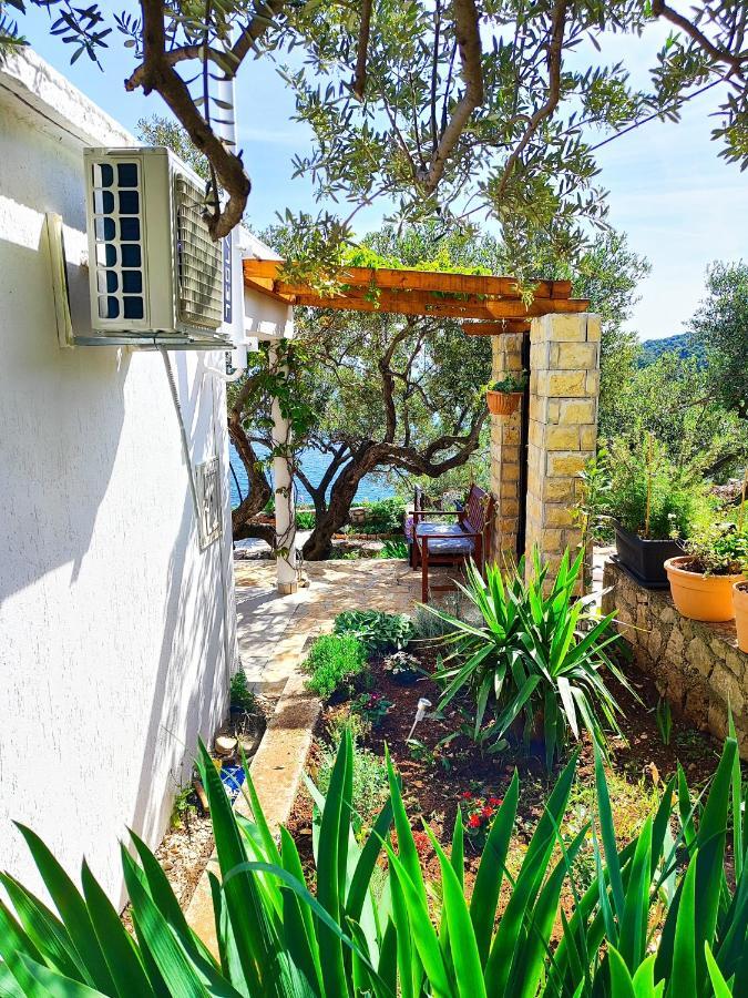 Villa Weekend House Olive Garden Donje Selo na Šolti Exterior foto